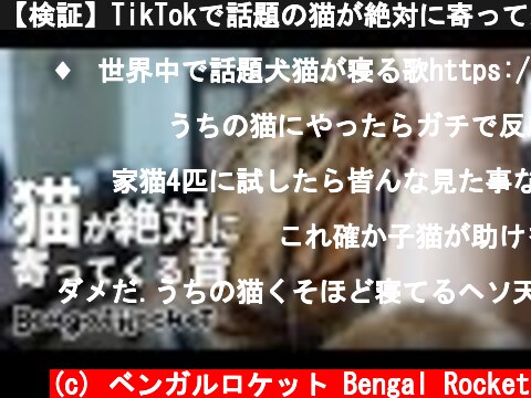 【検証】TikTokで話題の猫が絶対に寄って来る音を聞かせたら猫に襲われたｗｗｗ 【ベンガルロケット♯127】  (c) ベンガルロケット Bengal Rocket